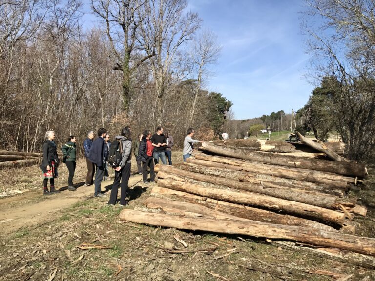 Le tri des bois en forêt