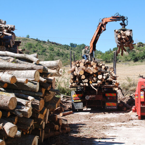 La filière bois